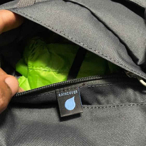 Osprey  รูปที่ 4