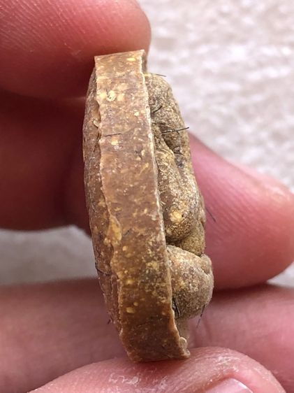 หลวงปู่โต๊ะ  รูปที่ 3