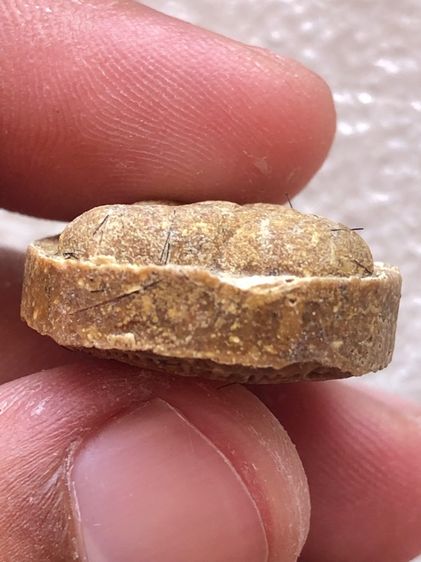 หลวงปู่โต๊ะ  รูปที่ 7