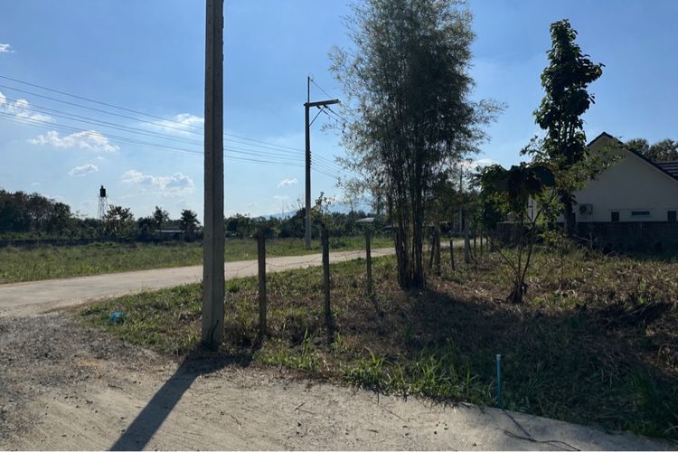 ที่ดินเชียงใหม่ รูปที่ 3