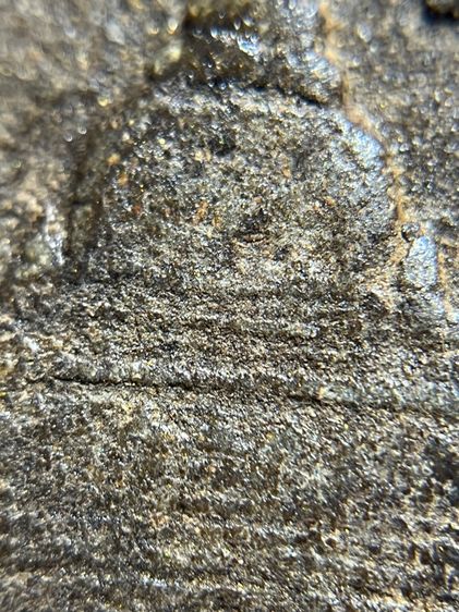 พระหลวงปู่ทวดเนื้อว่าน 108 หลังเจดีย์ รูปที่ 17