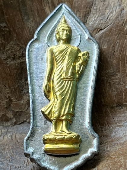 เหรียญ 25 ศตวรรษ รูปที่ 3