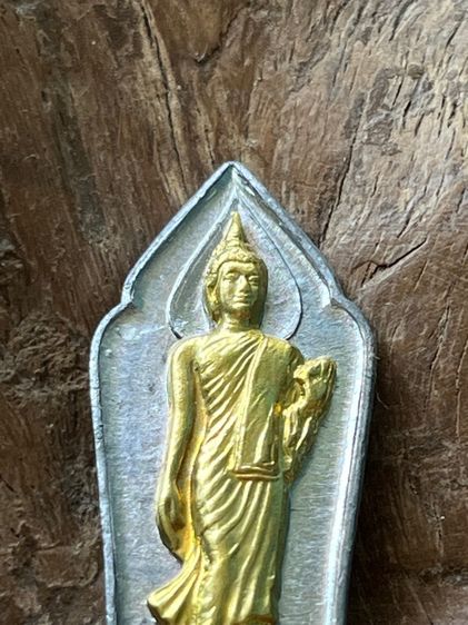 เหรียญ 25 ศตวรรษ รูปที่ 4