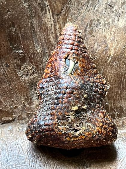 พระปิดตาเก่าเนื้อโลหะ  รูปที่ 8