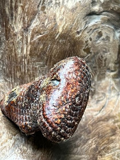 พระปิดตาเก่าเนื้อโลหะ  รูปที่ 11