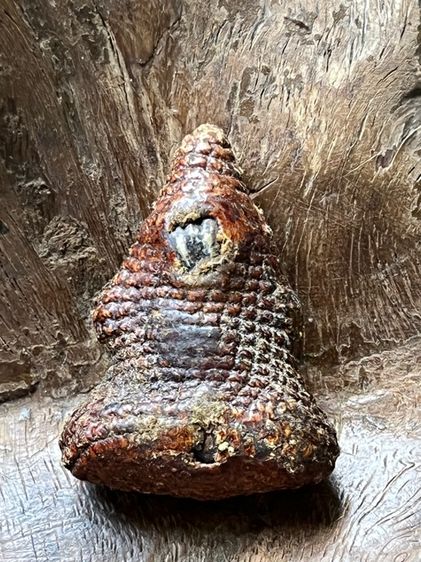 พระปิดตาเก่าเนื้อโลหะ  รูปที่ 9