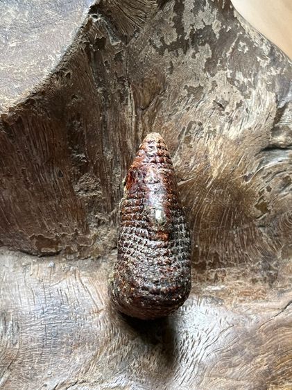 พระปิดตาเก่าเนื้อโลหะ  รูปที่ 5