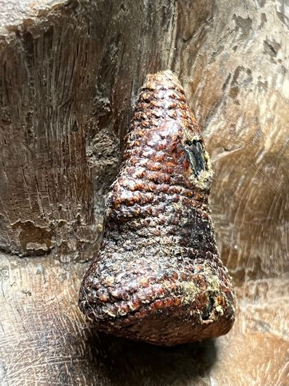 พระปิดตาเก่าเนื้อโลหะ  รูปที่ 3