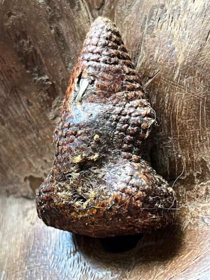 พระปิดตาเก่าเนื้อโลหะ  รูปที่ 6