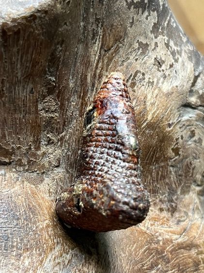 พระปิดตาเก่าเนื้อโลหะ  รูปที่ 4