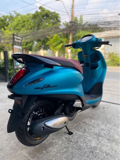 grand filano  รูปที่ 6