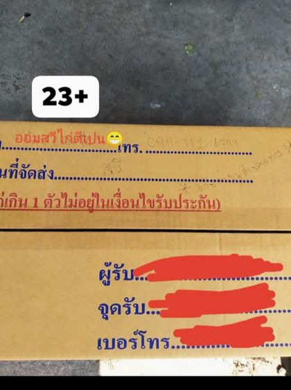 พร้อมแต่งคับเนื้อตัวพร้อมหนักยุ31kg...ขนรับผ่านคับวันวางไม่ใช่มีแรงทำให้ได้รุ้ว่ามีดอกพลิกพันร้อยมั้ยดูใหัเปนตัวชนะคับ รูปที่ 13