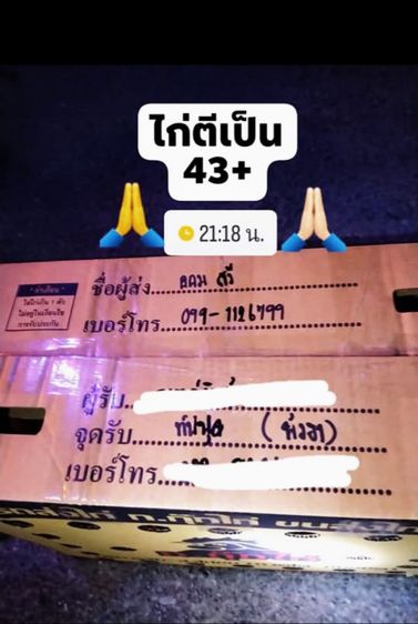 พร้อมแต่งคับเนื้อตัวพร้อมหนักยุ31kg...ขนรับผ่านคับวันวางไม่ใช่มีแรงทำให้ได้รุ้ว่ามีดอกพลิกพันร้อยมั้ยดูใหัเปนตัวชนะคับ รูปที่ 17