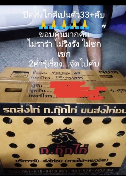 พร้อมแต่งคับเนื้อตัวพร้อมหนักยุ31kg...ขนรับผ่านคับวันวางไม่ใช่มีแรงทำให้ได้รุ้ว่ามีดอกพลิกพันร้อยมั้ยดูใหัเปนตัวชนะคับ รูปที่ 15