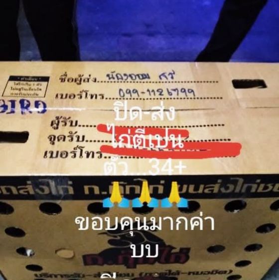 พร้อมแต่งคับเนื้อตัวพร้อมหนักยุ31kg...ขนรับผ่านคับวันวางไม่ใช่มีแรงทำให้ได้รุ้ว่ามีดอกพลิกพันร้อยมั้ยดูใหัเปนตัวชนะคับ รูปที่ 10