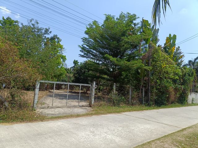 ขายบ้านสวนพร้อมที่ดิน รูปที่ 2