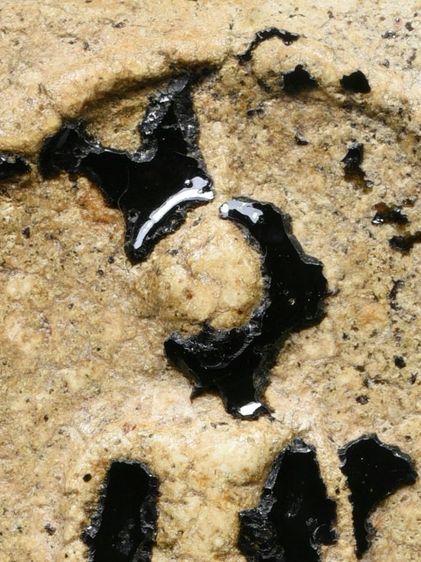 พระสมเด็จวัดระฆัง พิมพ์ใหญ่ ลงรัก เก่า รูปที่ 8