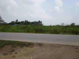 ขายที่ 2ไร่ (ขาดไป 12 ตารางวา)