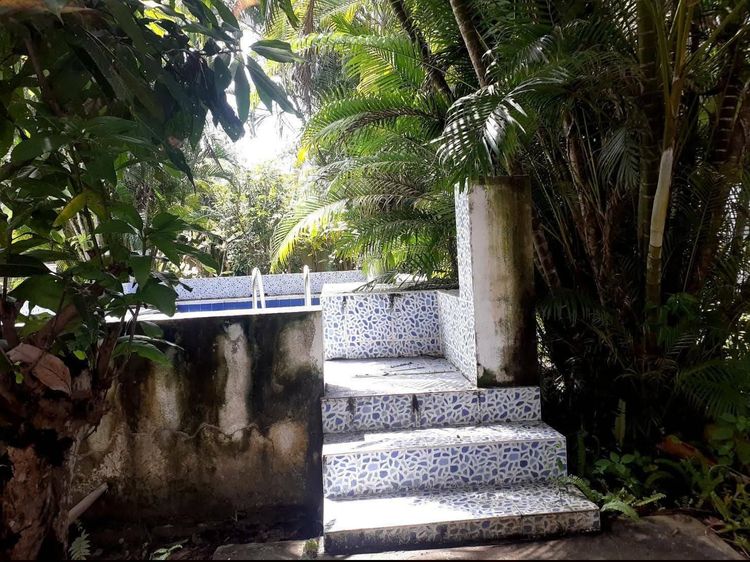 มีบางส่วน ขายบ้านสวนหลัง ม.แม่โจ้ ทำเลทอง พร้อมสระว่ายน้ำ ต.ป่าไผ่ อ.สันทราย เชียงใหม่  รูปที่ 4