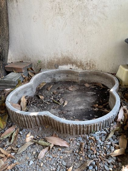 บ่อปลาปูน