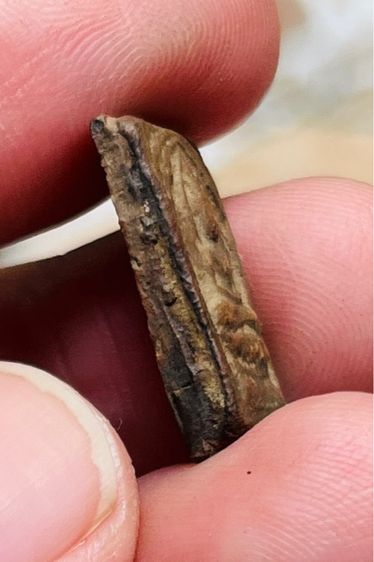 หลวงปู่ศุข เนื้อดิน รูปที่ 3