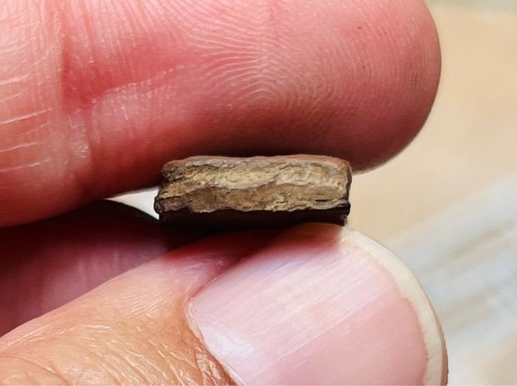 หลวงปู่ศุข เนื้อดิน รูปที่ 4