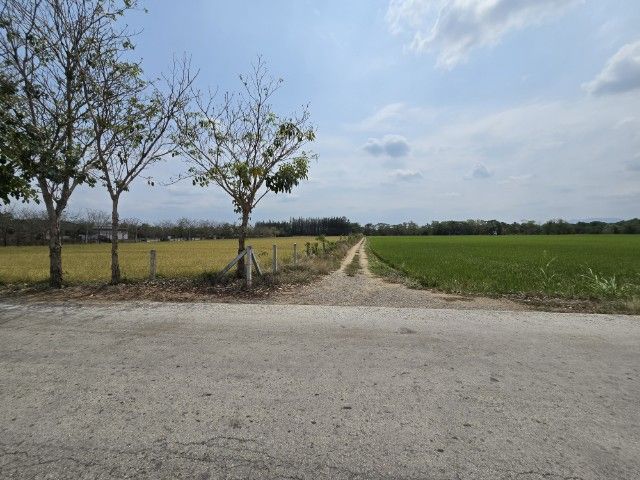 ใช่ ขายที่ดิน 29 ไร่ 1 งาน 90 ตร.วา ใกล้ SCG บุญถาวร ทำเลดี ติดถนน รูปที่ 4