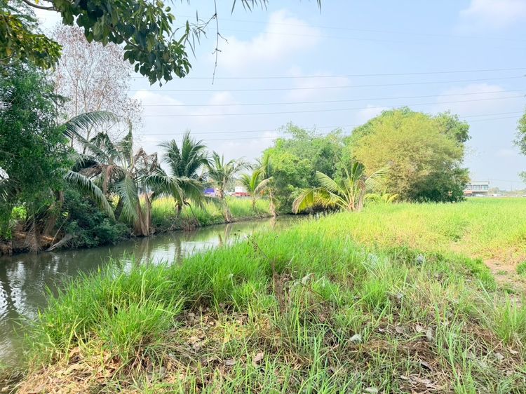 ขายที่ดิน 9 ไร่ ใกล้ตลาดกลางกุ้งอยุธยา  รูปที่ 4