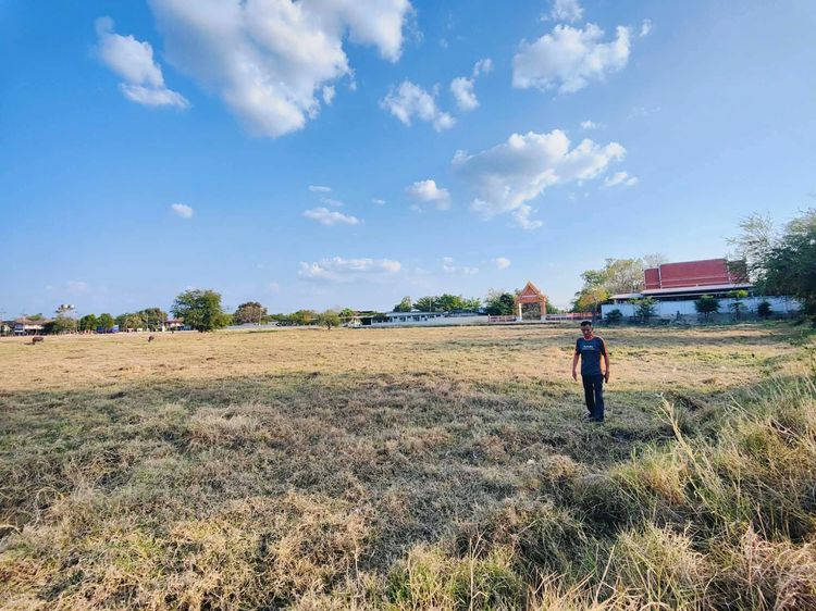 ที่ดินตัวเมืองลพบุรี 337 ตรว. ต.ท่าแค