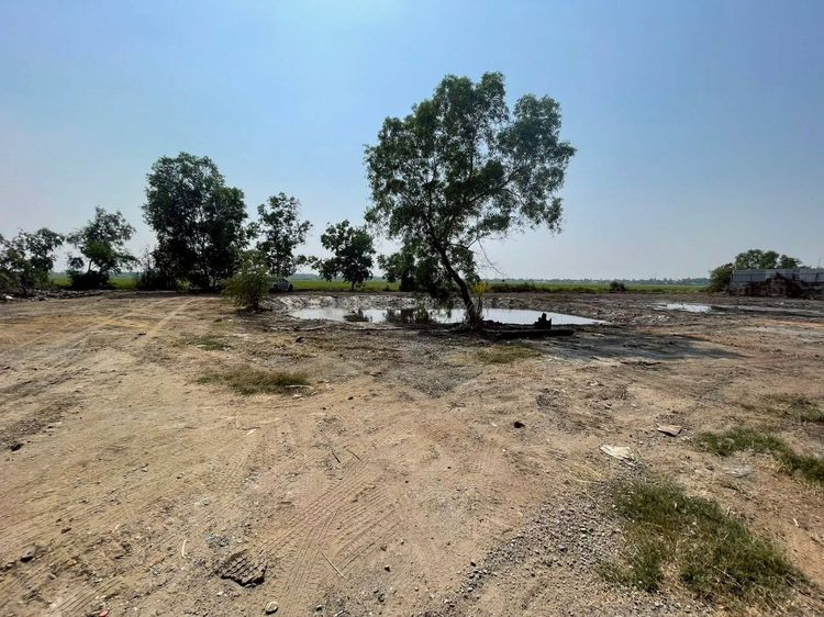 ขายที่ดิน 3 ไร่ ใกล้แหล่งโรงงาน ติดถนนสุวินทวงศ์304 อ.เมืองฉะเชิงเทรา ฉะเชิงเทรา รูปที่ 2