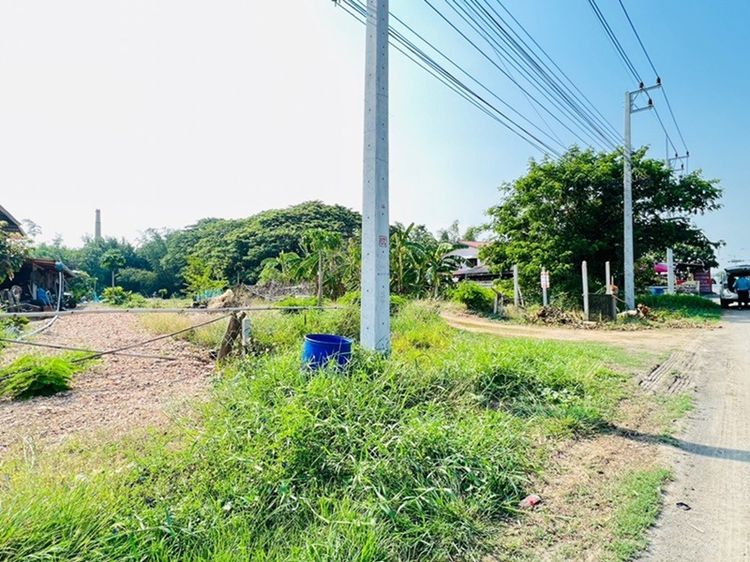 ขายที่ดิน 3 งาน 60 ตารางวา ติดถนนลาดยางบ้านแพรก อำเภอบ้านแพรก จังหวัดพระนครศรีอยุธยา รูปที่ 2