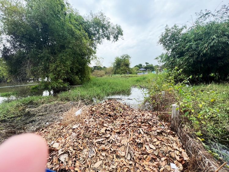 ขายที่ดิน 82 ตารางวา ติดแม่น้ำท่าจีน (ล้อมรั้ว) บางปลาม้า สุพรรณบุรี รูปที่ 2