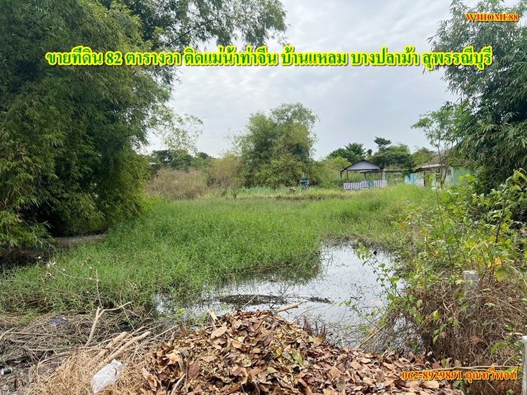 ขายที่ดิน 82 ตารางวา ติดแม่น้ำท่าจีน (ล้อมรั้ว) บางปลาม้า สุพรรณบุรี 