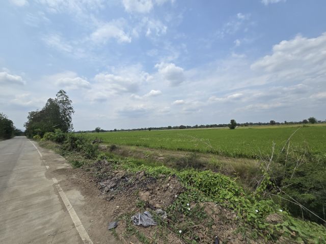ใช่ ขายที่ดิน 10 ไร่ 1 งาน 51 ตร.วา ใกล้ SCG บุญถาวร ทำเลดี ติดถนน รูปที่ 4
