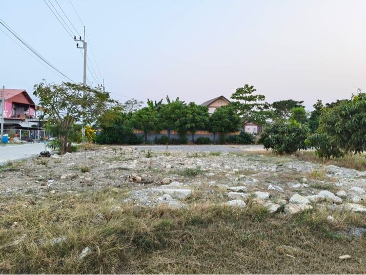 ใช่ ขายที่ดินเปล่า 2ไร่เศษ ซ.ยิ่งเจริญ ถ.ตำหรุ-คลองขุด รูปที่ 3