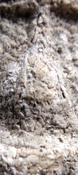 พระสมเด็จ วัดระฆัง บางขุนพรหม วัดเกศไชโย หลวงปู่ภู หลวงปู่นาค รูปที่ 18