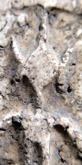 พระสมเด็จ วัดระฆัง บางขุนพรหม วัดเกศไชโย หลวงปู่ภู หลวงปู่นาค