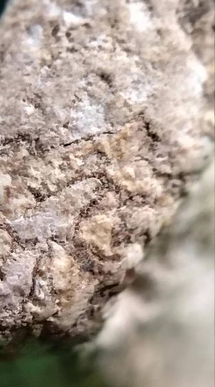 พระสมเด็จ วัดระฆัง บางขุนพรหม วัดเกศไชโย หลวงปู่ภู หลวงปู่นาค รูปที่ 16