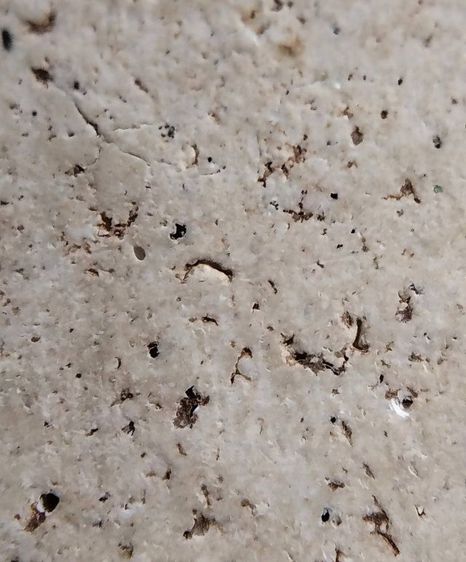 พระสมเด็จ วัดระฆัง บางขุนพรหม วัดเกศไชโย หลวงปู่ภู หลวงปู่นาค รูปที่ 4