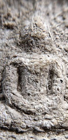 พระสมเด็จ วัดระฆัง บางขุนพรหม วัดเกศไชโย หลวงปู่ภู หลวงปู่นาค รูปที่ 14