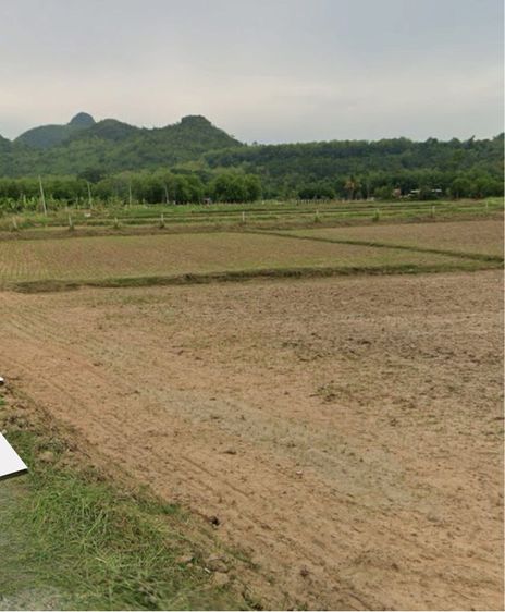 ใช่ ขายที่ดินวิวสวยวิวภูเขาอำเภอภูกระดึงจังหวัดเลย รูปที่ 2