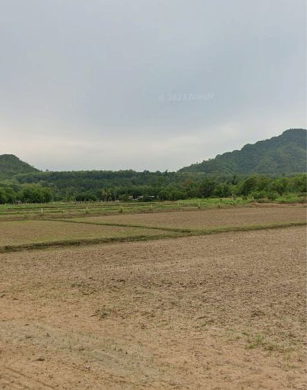 ใช่ ขายที่ดินวิวสวยวิวภูเขาอำเภอภูกระดึงจังหวัดเลย รูปที่ 3