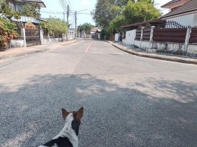 ขายที่ดิน1ไร42ตรว. เทศบาล23