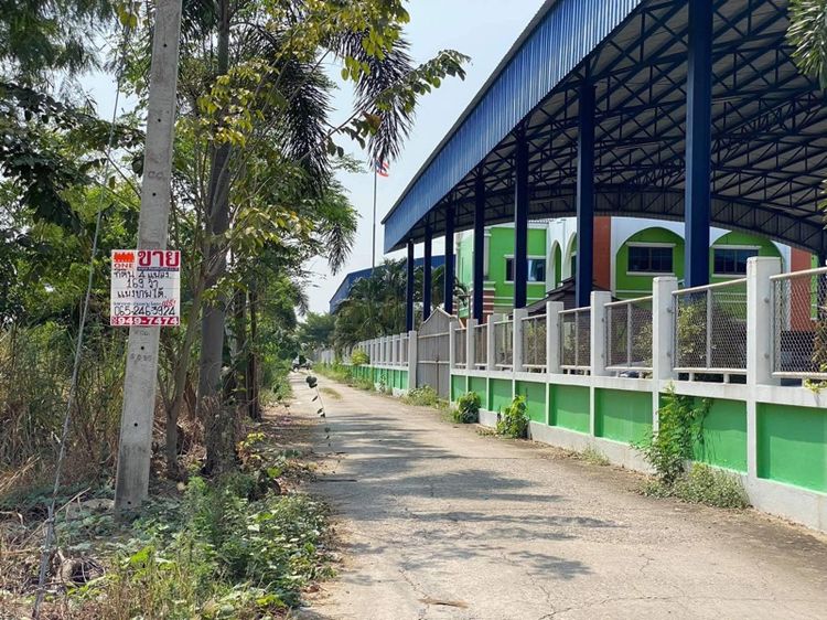 ใช่ ขายที่ดิน ติด อบต ลาดหลุมแก้ว ปทุมธานี รูปที่ 3