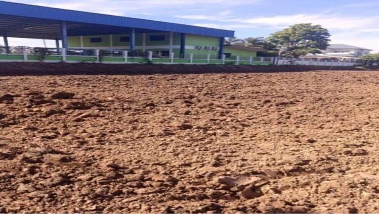 ใช่ ขายที่ดิน ติด อบต ลาดหลุมแก้ว ปทุมธานี