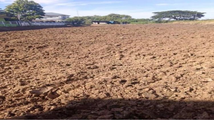 ใช่ ขายที่ดิน ติด อบต ลาดหลุมแก้ว ปทุมธานี รูปที่ 2