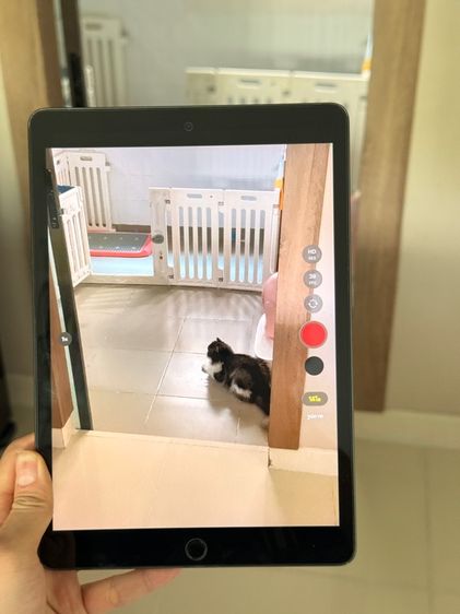 ipad gen9 wifi 64g รูปที่ 5