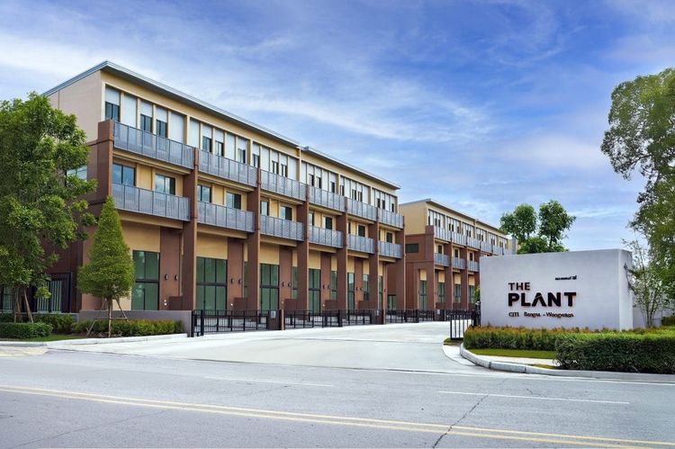 The Plant Citi บางนา-วงแหวน Home Office 3.5 ชั้น เหลือเพียง 5 หลัง หมดแล้วหมดเลย