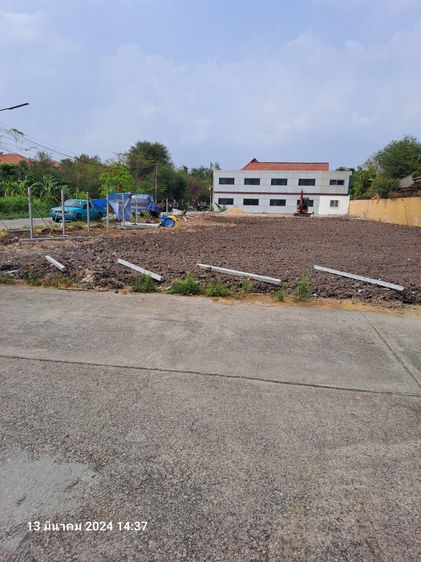 ที่ดินเปล่า รูปที่ 3