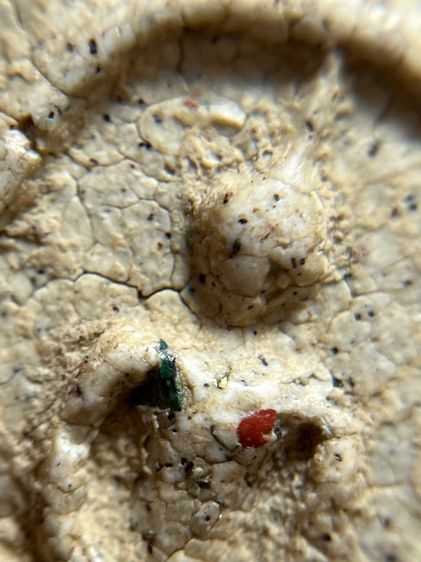 พระสมเด็จวัดระฆังพิมพ์ใหญ่ เห็นเม็ดมลสาร รูปที่ 11